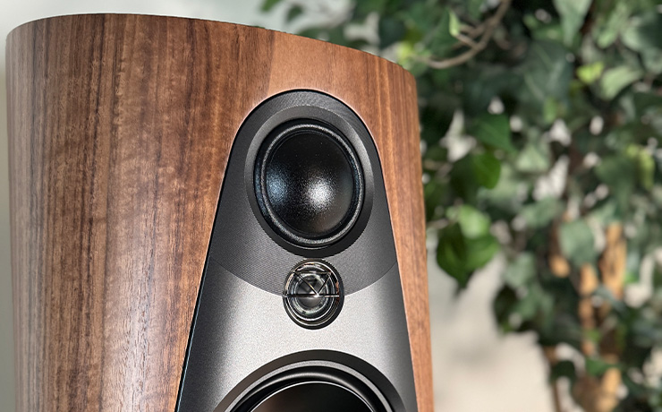 A close-up view of the top section of a Linn 360 speaker in walnut with a blurred, tall plant in the background