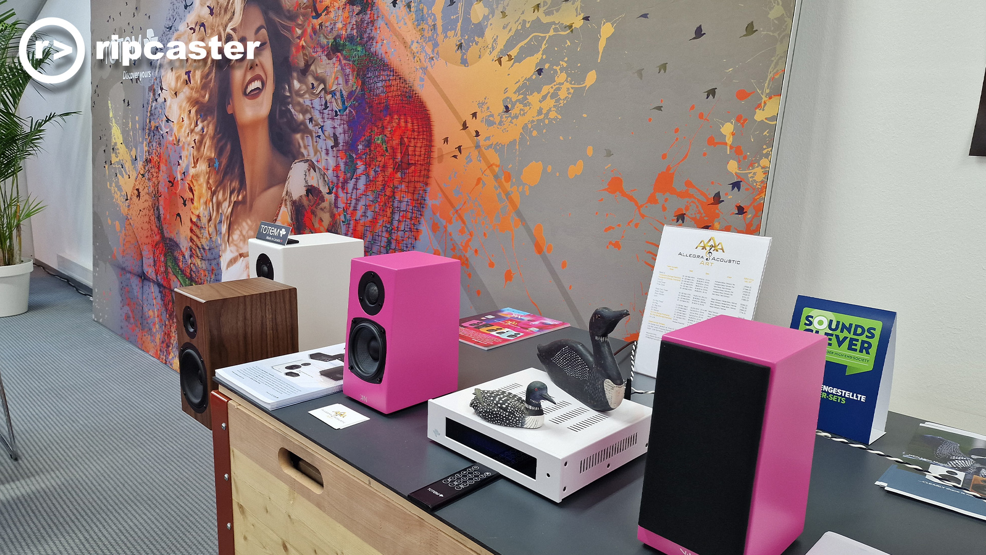 A pair of bright pink bookshelf speakers either side of a HiFi unit on a cabinet.  there are other bookshelf speakers on stands in the image and a very colourful backdrop.  There are also inexplicable model ducks.