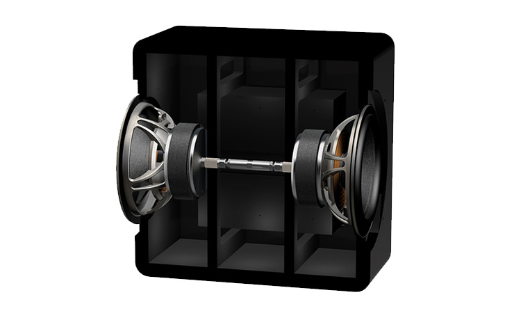 the inside of the subwoofer showing a driver each side in a black square