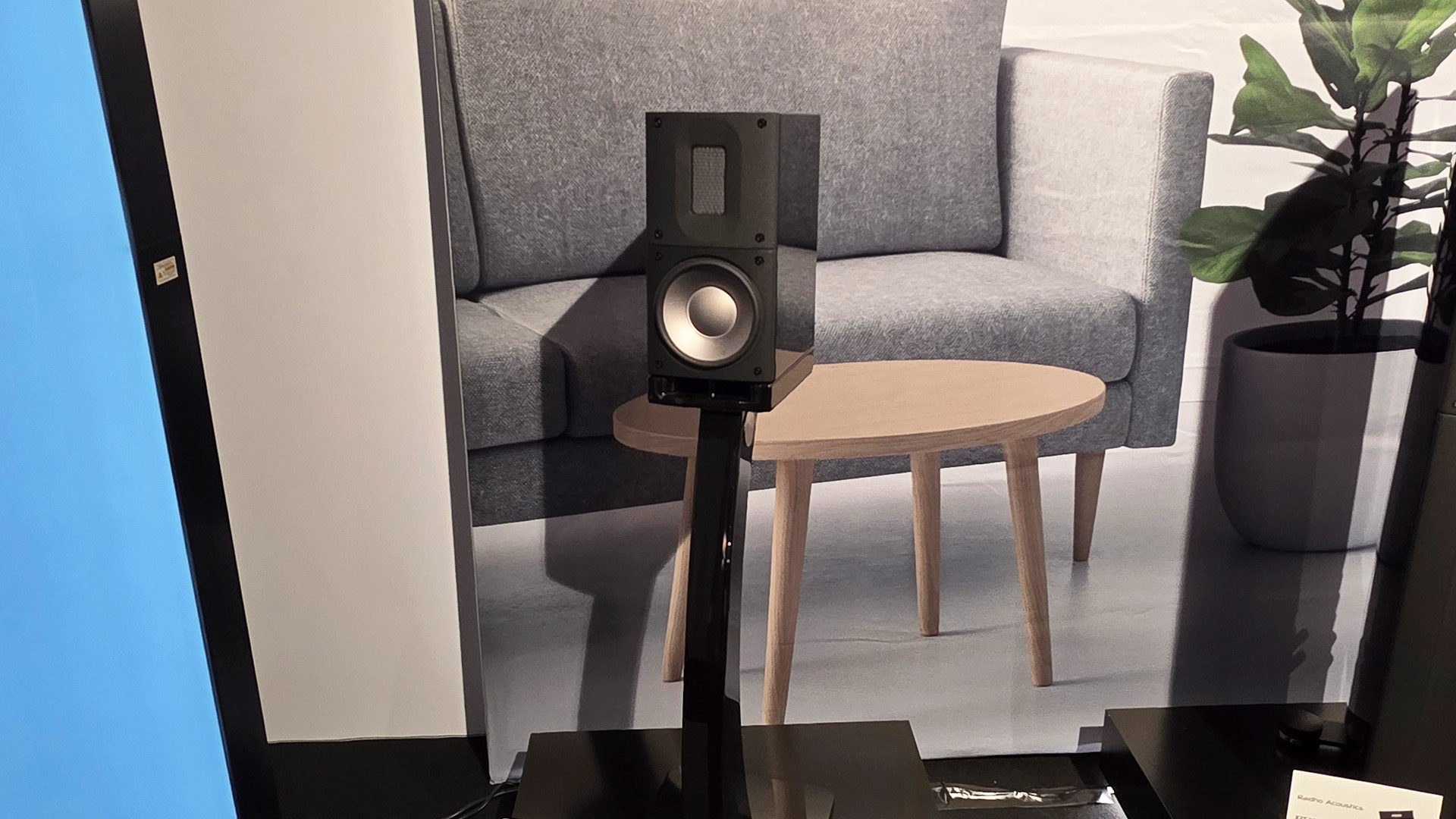A book shelf Raidho speaker 