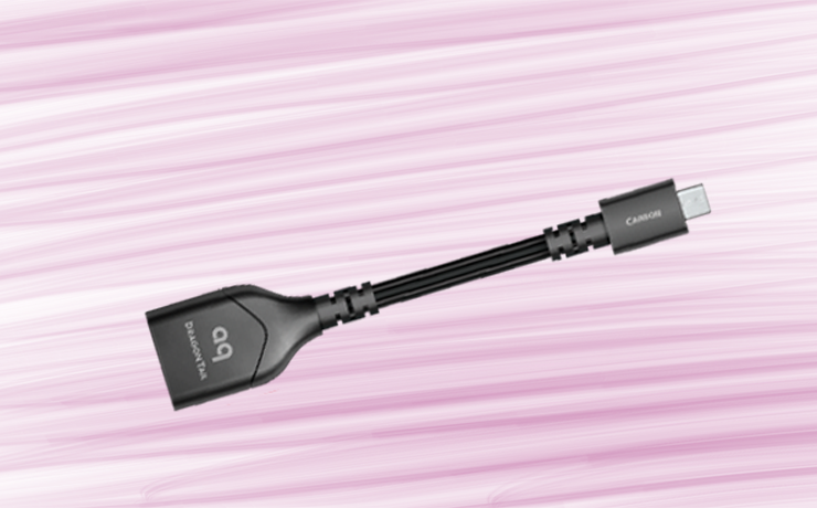 AudioQuest DragonTail USB A to Micro Adaptor on a pink background