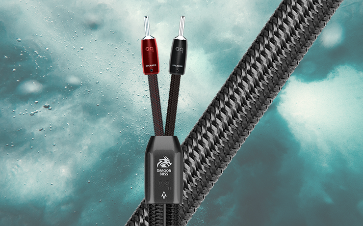 AudioQuest Dragon BASS Speaker Cable.  Background: pexels-emiliano-arano-3608311