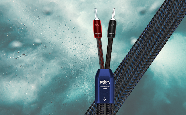 AudioQuest ThunderBird BASS Speaker Cable with background: pexels-emiliano-arano-3608311