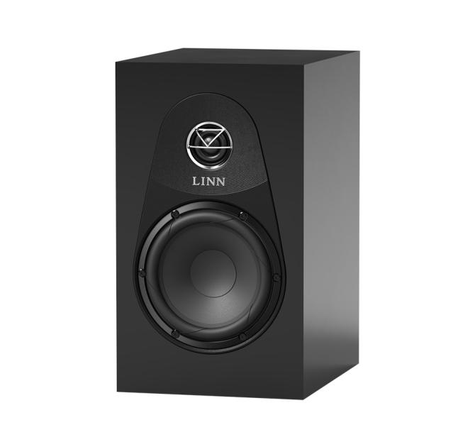 Linn 119 speaker in satin black