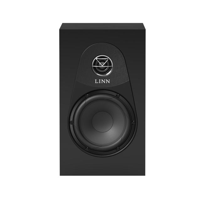 Linn 119 Loudspeaker in satin black front view