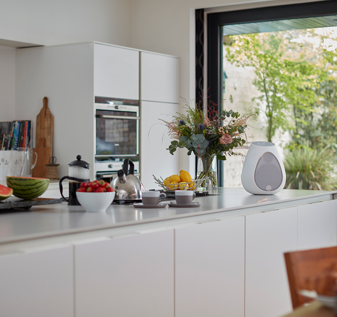 Linn Series 3 301 Loudspeaker on a busy kitchen counter.  An oven can be seen in the background.  There's a partially cut watermelon on the counter along with fruit bowls and flowers in a vase.