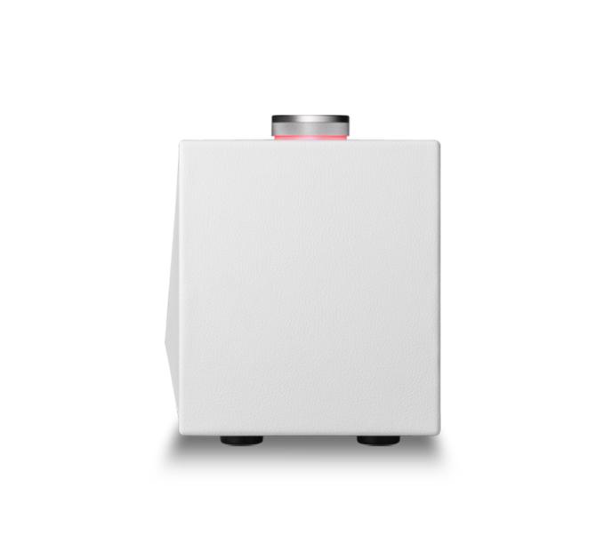 Astell & Kern ACRO BE100 Home Audio-Speaker end view of a white one