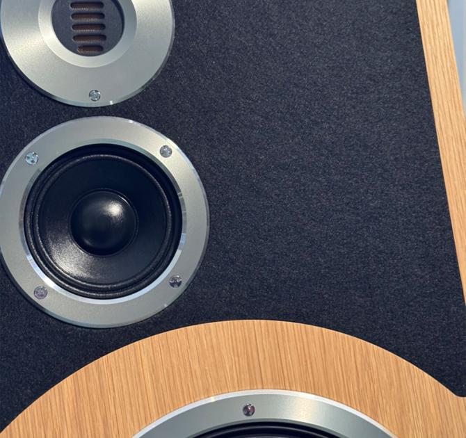 Audiovector Trapeze Ri in the ripcaster showroom