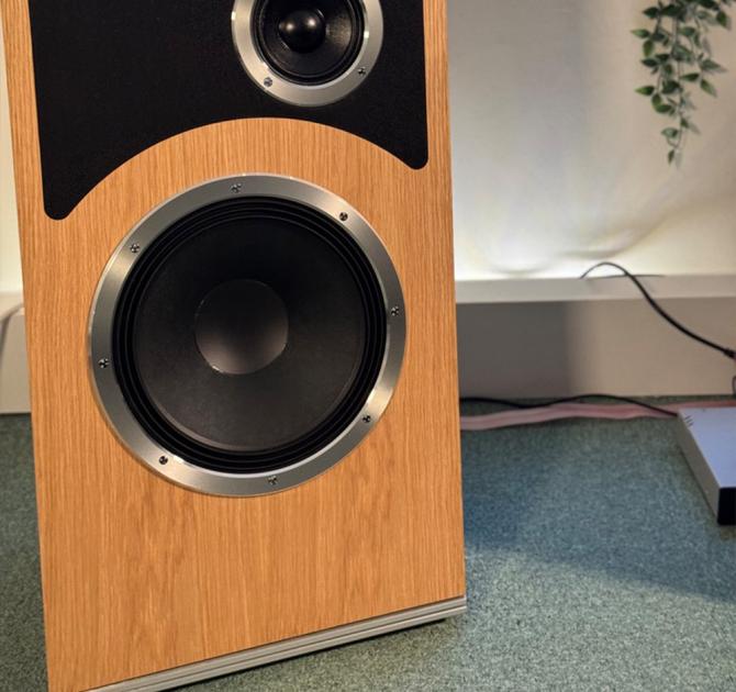 Audiovector Trapeze Ri in the ripcaster showroom