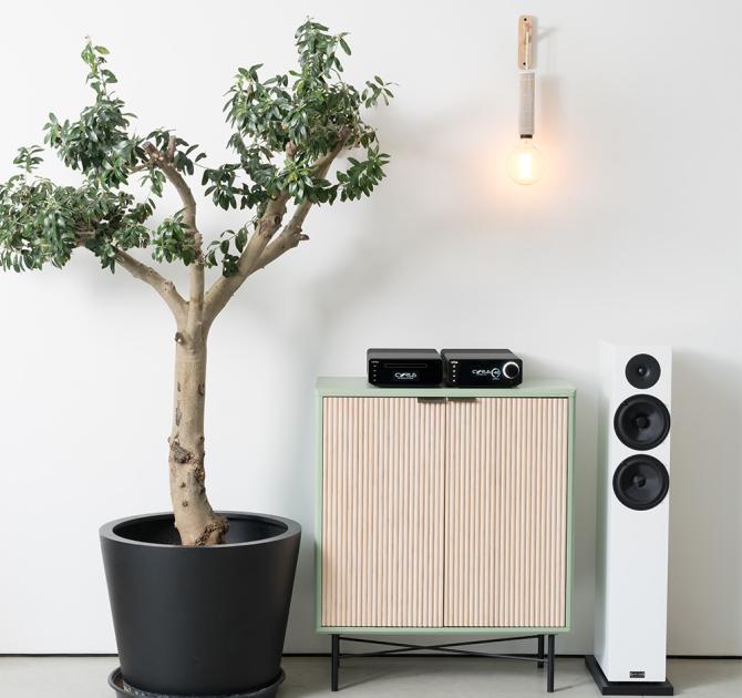 Cyrus 40 AMP - Integrated Amplifier on a wooden unit with a white floorstanding speaker beside it and a plant on the other side