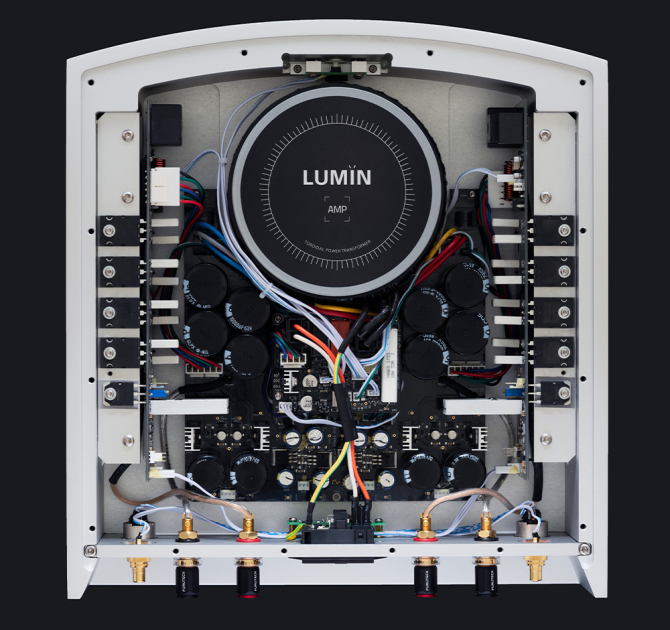Lumin AMP Internal