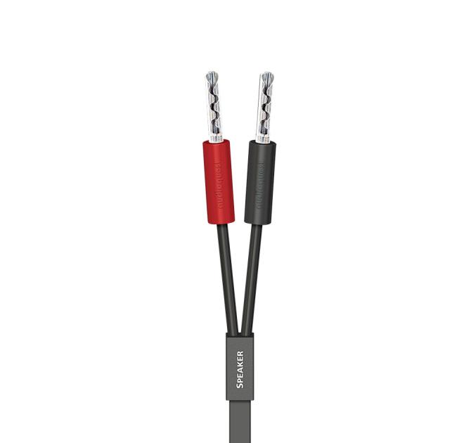 AudioQuest Q2 Speaker Cable