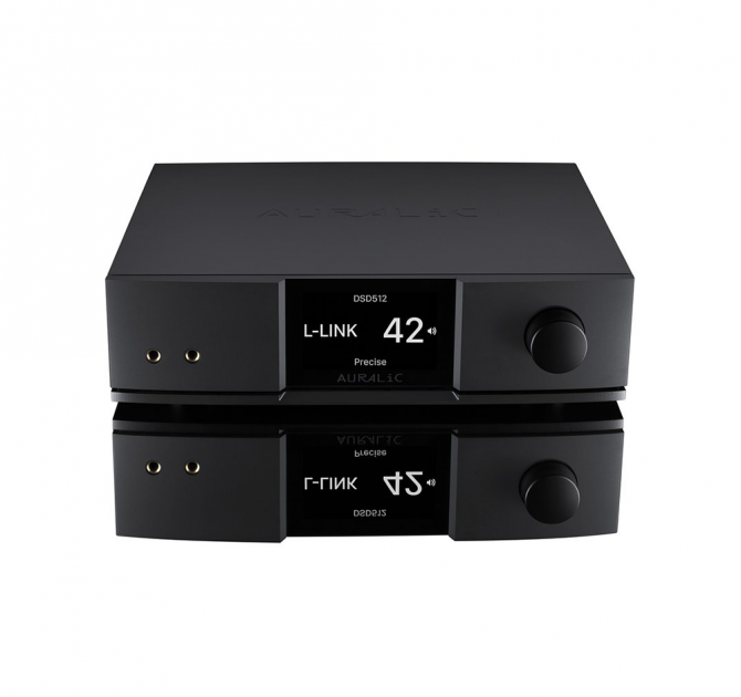 Auralic Vega G2.1 Streaming DAC front and top view, reflected
