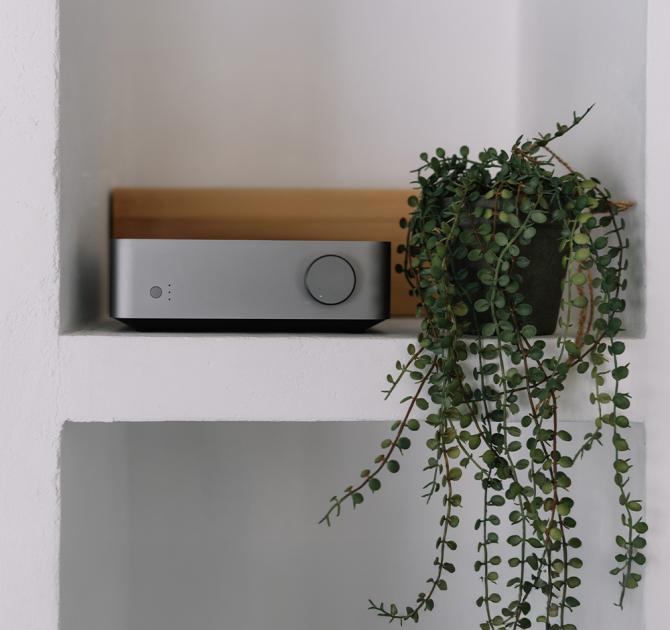 WiiM Vibelink Amp on a shelf beside an indoor plant