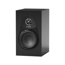 Linn 119 speaker in satin black