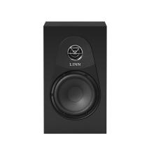 Linn 119 Loudspeaker in satin black front view