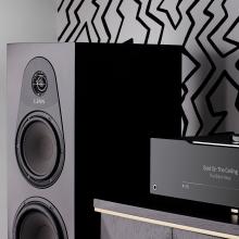 Linn 150 speaker in black beside a DSM