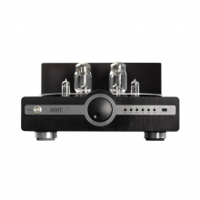 Synthesis Action A50 Taurus Amplifier