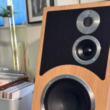 Audiovector Trapeze Ri in the ripcaster showroom