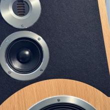 Audiovector Trapeze Ri in the ripcaster showroom