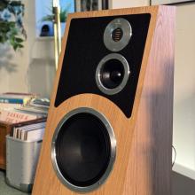 Audiovector Trapeze Ri in the ripcaster showroom