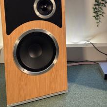 Audiovector Trapeze Ri in the ripcaster showroom