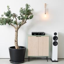 Cyrus 40 AMP - Integrated Amplifier on a wooden unit with a white floorstanding speaker beside it and a plant on the other side