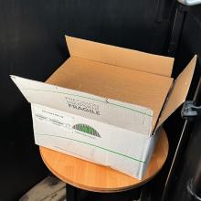 Naim HiCap Power Supply box