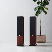Audiovector QR5 a pair of dark walnut speakers with grilles beside a tall houseplant.