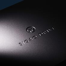 Kudos Sigao drive external crossover for Titan speakers top-down view