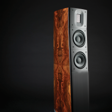 Raidho Acoustics TD2.2 Speaker