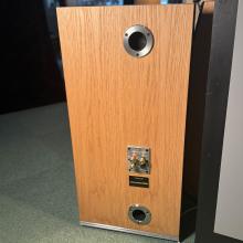 Audiovector Trapeze Ri rear view of our one in the ripcaster showroom