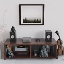 WiiM Vibelink Amp with speakers either side and a landscape picture behind