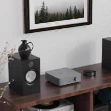 WiiM Vibelink Amp with speakers either side and a picture in black and white of some fir trees 