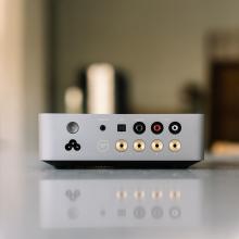 WiiM Vibelink Amp rear view