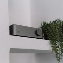WiiM Vibelink Amp on a white shelf with a pot plant beside it